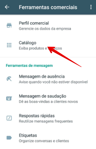 Etapa de criação do catálogo