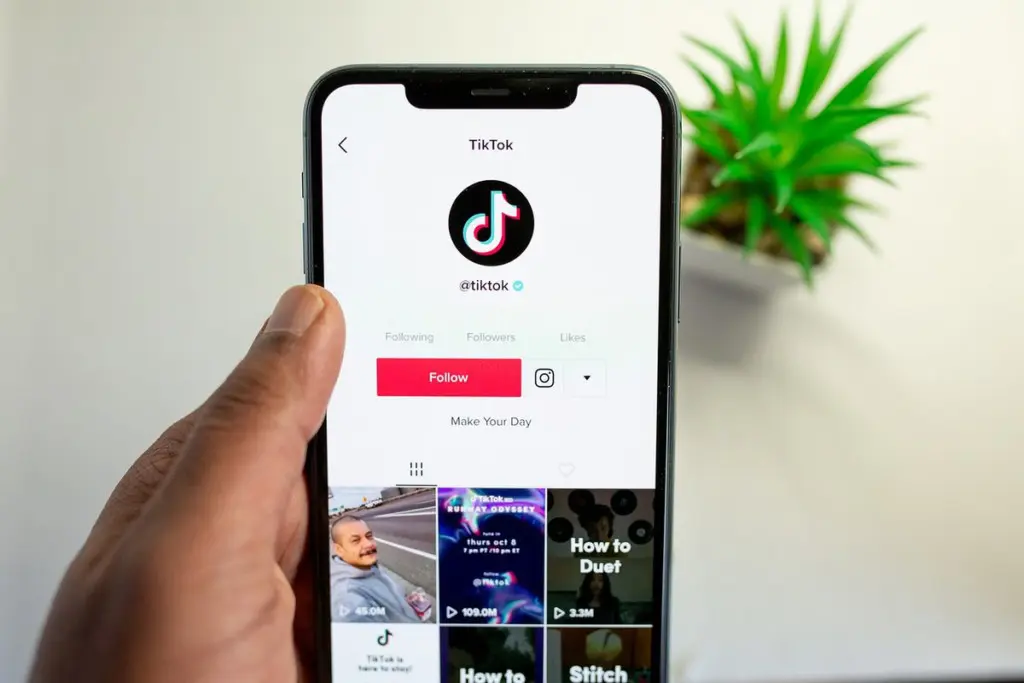 como ganhar dinheiro no tiktok