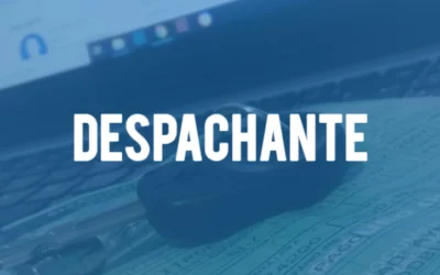 despachante online