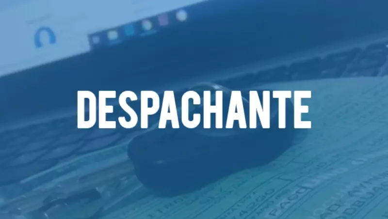 despachante online