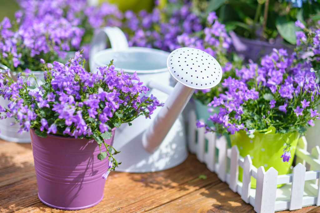 38 ideias de jardim: opções criativas para todos os espaços 8 Ideias de jardim