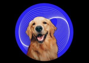 PFP Maker