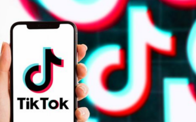TikTok Insights