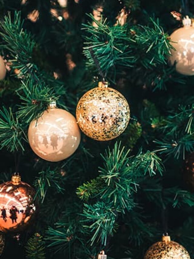 Story 5 Mensagens de Natal para a família: árvore de Natal enfeitada em detalhe
