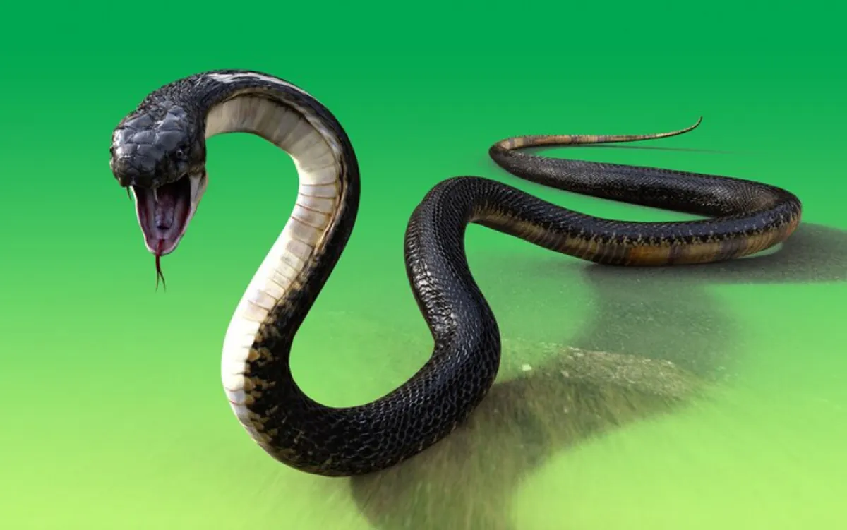Sonhar com Cobra Preta: Significados Profundos e Interpretações Culturais 2 O que significa sonhar com cobra preta atacando?